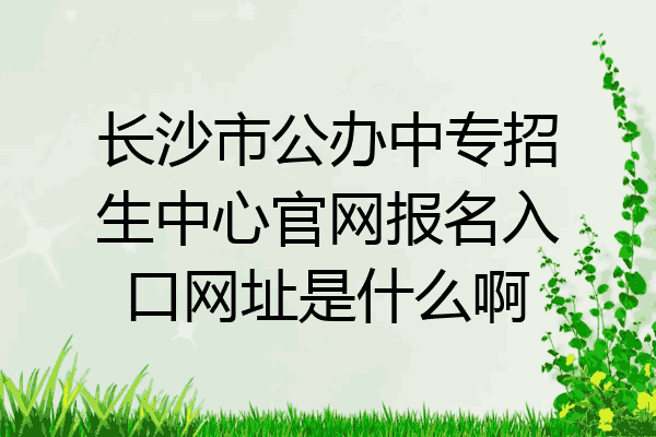 长沙市公办中专招生中心官网报名入口网址是什么啊