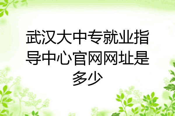 武汉大中专就业指导中心官网网址是多少