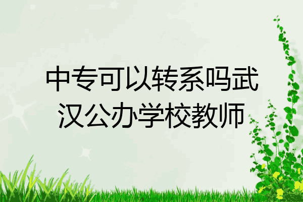 中专可以转系吗武汉公办学校教师