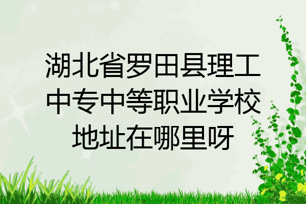 湖北省罗田县理工中专中等职业学校地址在哪里呀