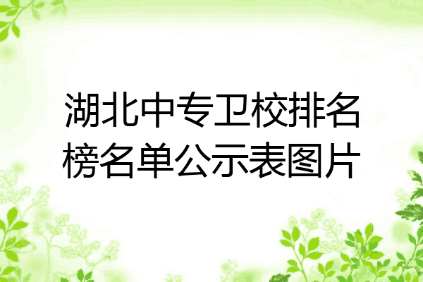 湖北中专卫校排名榜名单公示表图片