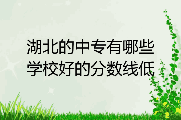 湖北的中专有哪些学校好的分数线低