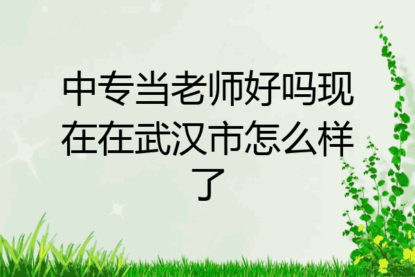 中专当老师好吗现在在武汉市怎么样了