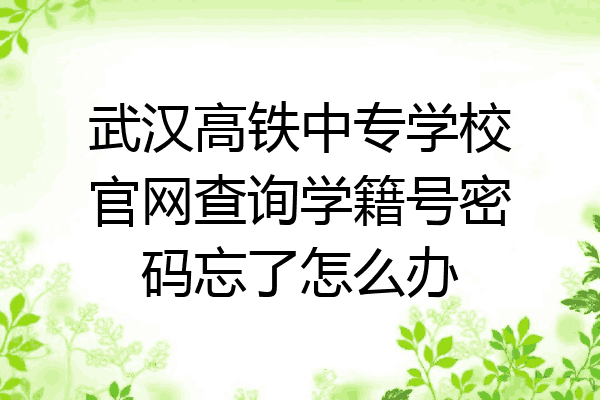 武汉高铁中专学校官网查询学籍号密码忘了怎么办