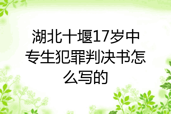 湖北十堰17岁中专生犯罪判决书怎么写的