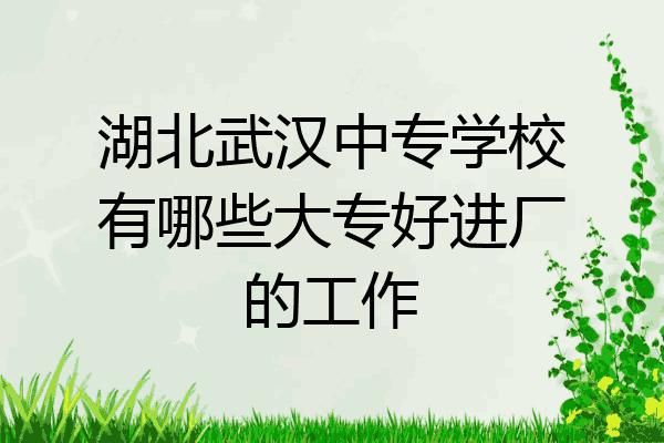湖北武汉中专学校有哪些大专好进厂的工作
