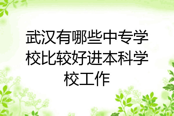 武汉有哪些中专学校比较好进本科学校工作
