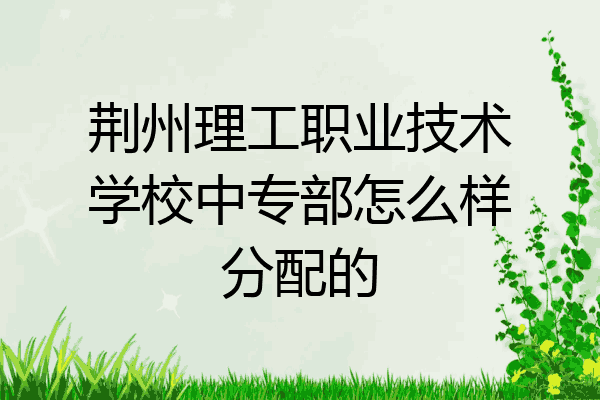 荆州理工职业技术学校中专部怎么样分配的