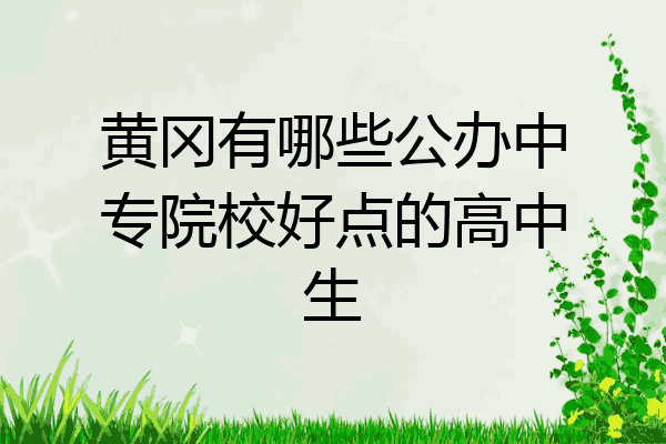 黄冈有哪些公办中专院校好点的高中生