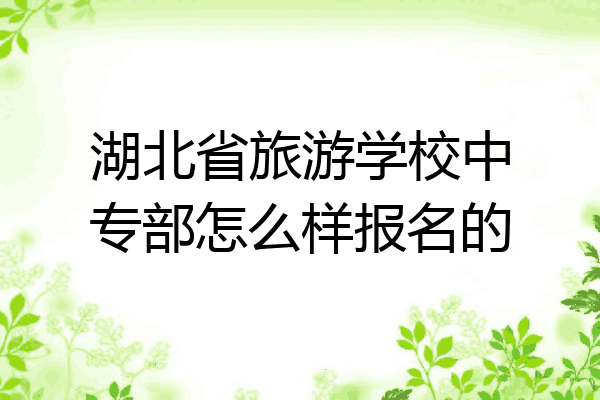 湖北省旅游学校中专部怎么样报名的