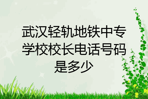 武汉轻轨地铁中专学校校长电话号码是多少
