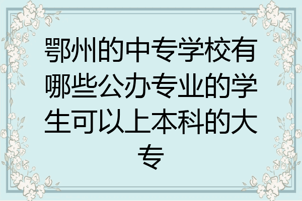 鄂州的中专学校有哪些公办专业的学生可以上本科的大专