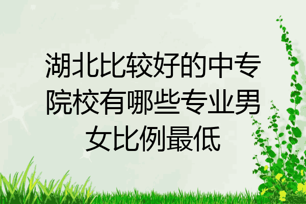 湖北比较好的中专院校有哪些专业男女比例最低