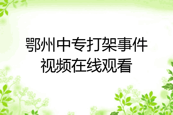 鄂州中专打架事件视频在线观看