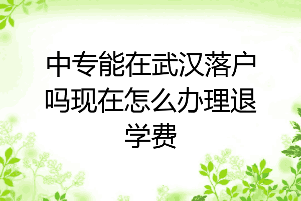 中专能在武汉落户吗现在怎么办理退学费