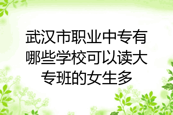 武汉市职业中专有哪些学校可以读大专班的女生多