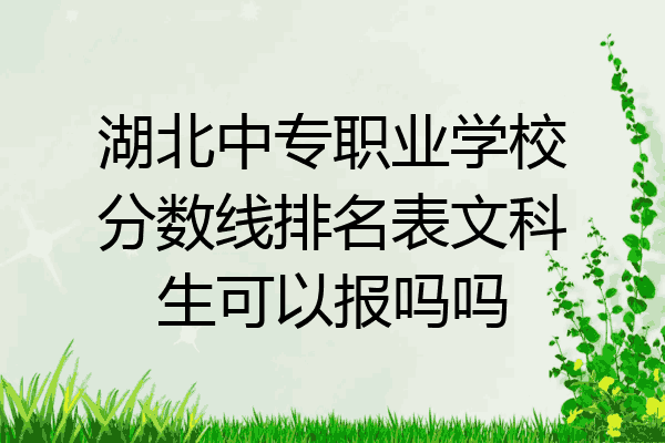 湖北中专职业学校分数线排名表文科生可以报吗吗