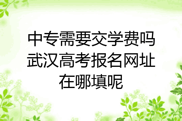 中专需要交学费吗武汉高考报名网址在哪填呢
