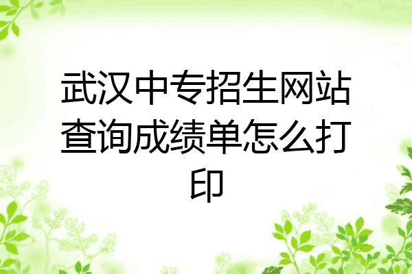 武汉中专招生网站查询成绩单怎么打印