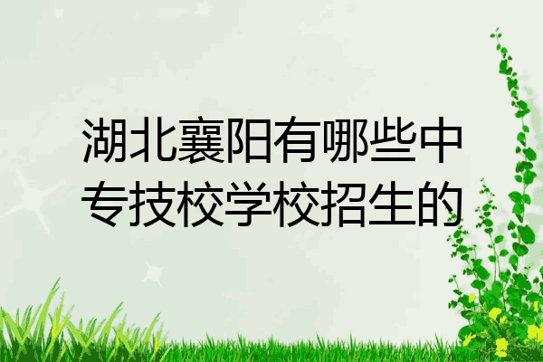 湖北襄阳有哪些中专技校学校招生的