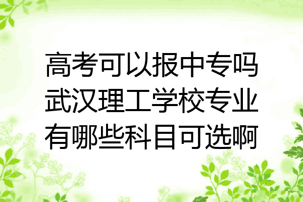 高考可以报中专吗武汉理工学校专业有哪些科目可选啊
