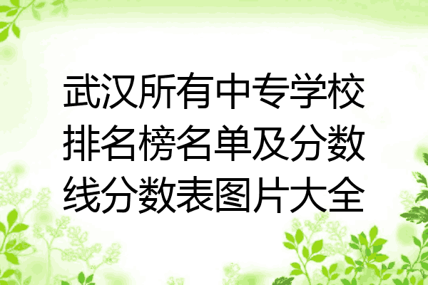武汉所有中专学校排名榜名单及分数线分数表图片大全