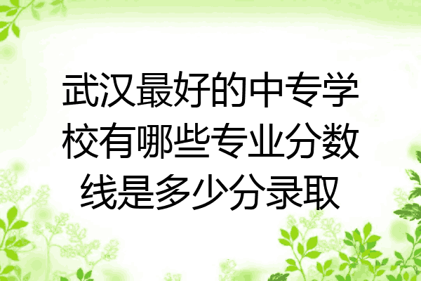 武汉最好的中专学校有哪些专业分数线是多少分录取