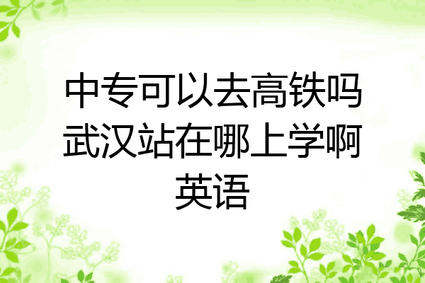 中专可以去高铁吗武汉站在哪上学啊英语