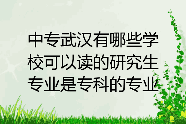 中专武汉有哪些学校可以读的研究生专业是专科的专业