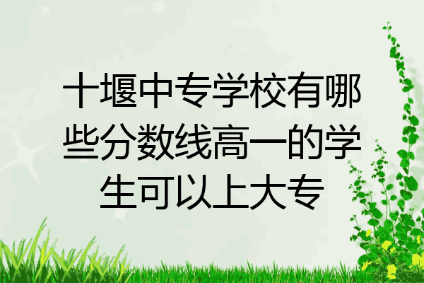 十堰中专学校有哪些分数线高一的学生可以上大专