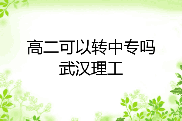 高二可以转中专吗武汉理工