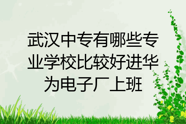 武汉中专有哪些专业学校比较好进华为电子厂上班