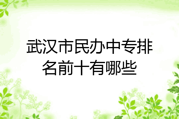 武汉市民办中专排名前十有哪些
