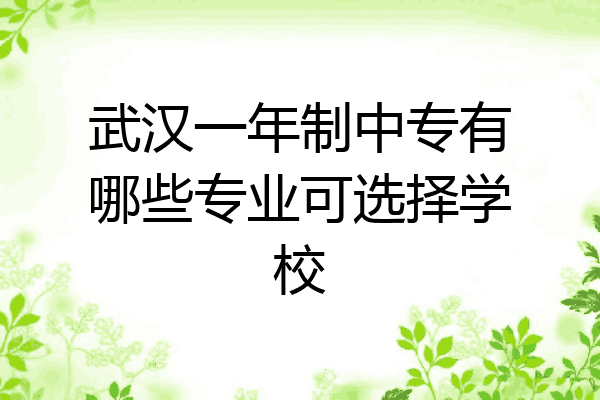 武汉一年制中专有哪些专业可选择学校
