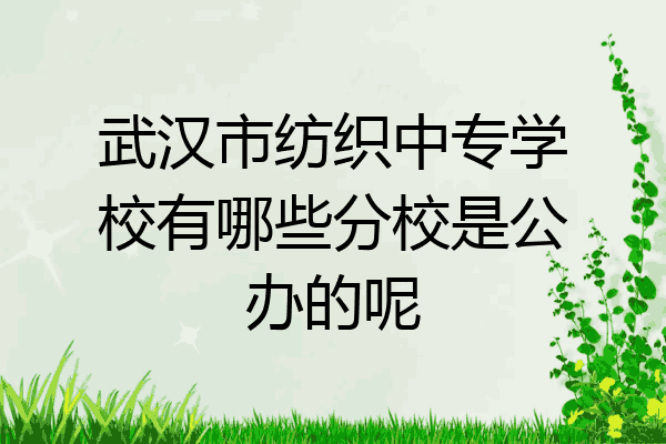 武汉市纺织中专学校有哪些分校是公办的呢