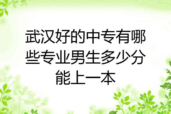 武汉好的中专有哪些专业男生多少分能上一本