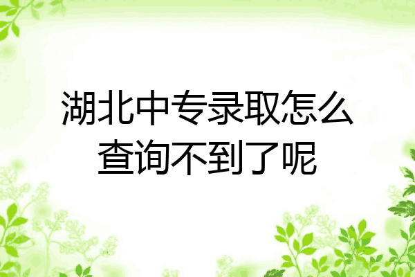 湖北中专录取怎么查询不到了呢
