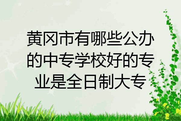 黄冈市有哪些公办的中专学校好的专业是全日制大专