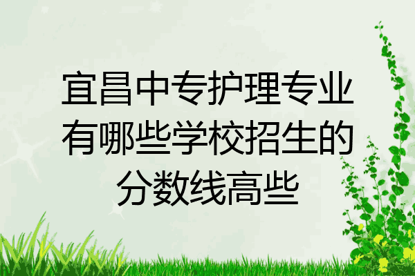 宜昌中专护理专业有哪些学校招生的分数线高些