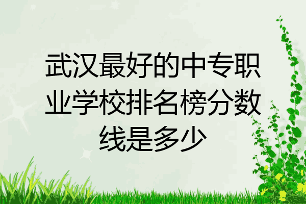 武汉最好的中专职业学校排名榜分数线是多少