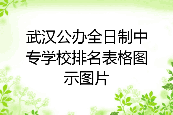 武汉公办全日制中专学校排名表格图示图片