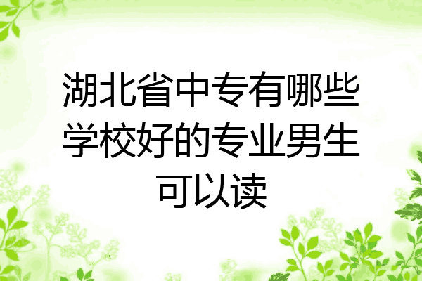 湖北省中专有哪些学校好的专业男生可以读