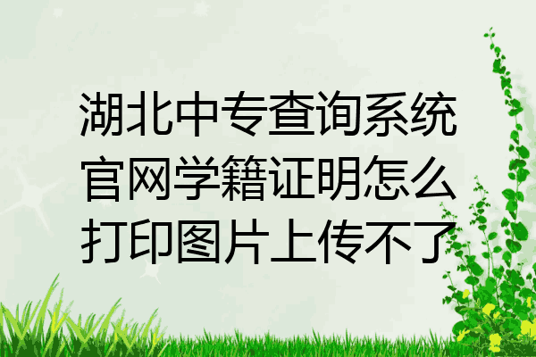湖北中专查询系统官网学籍证明怎么打印图片上传不了