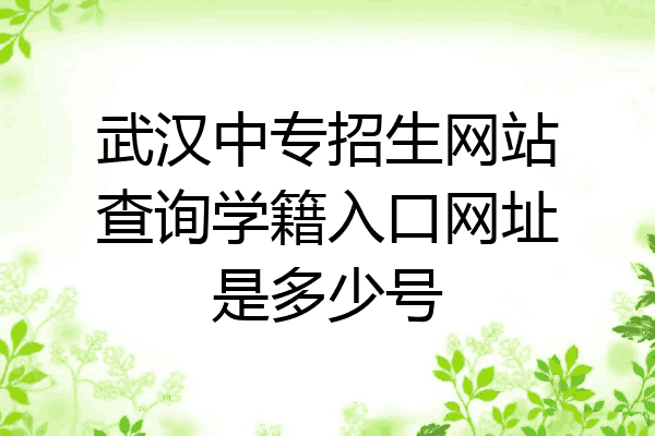 武汉中专招生网站查询学籍入口网址是多少号