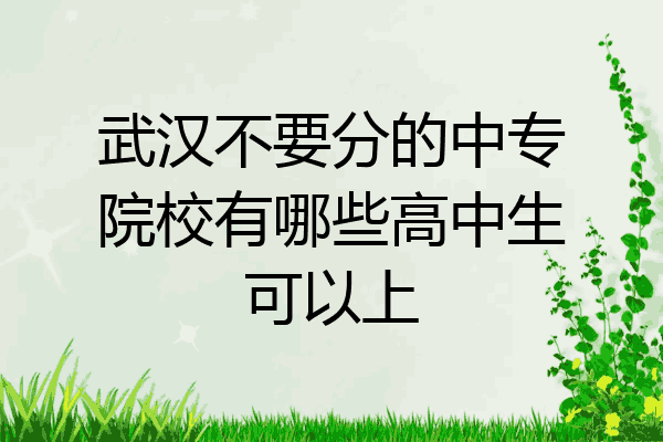 武汉不要分的中专院校有哪些高中生可以上