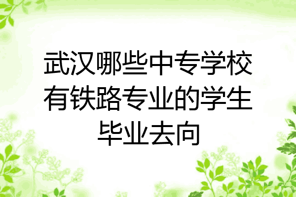 武汉哪些中专学校有铁路专业的学生毕业去向