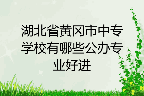 湖北省黄冈市中专学校有哪些公办专业好进
