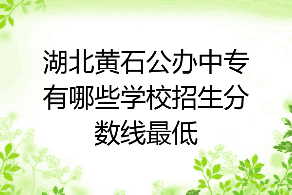湖北黄石公办中专有哪些学校招生分数线最低