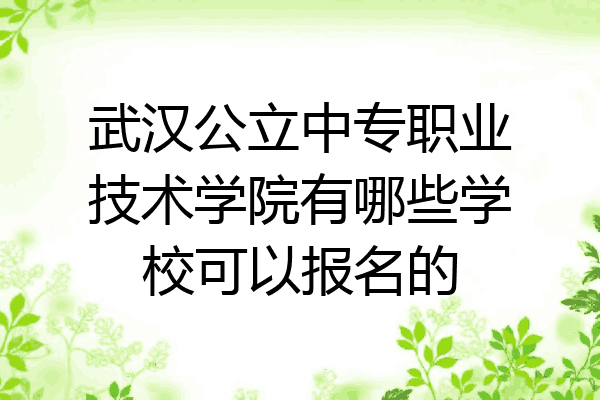 武汉公立中专职业技术学院有哪些学校可以报名的