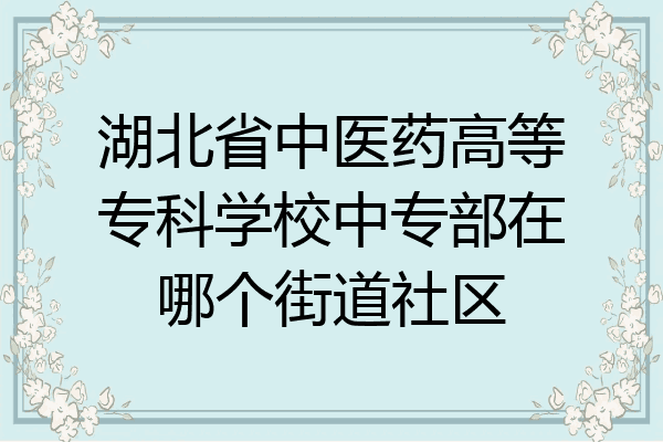 湖北省中医药高等专科学校中专部在哪个街道社区